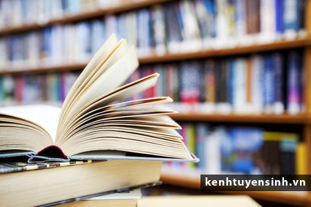 Đại học tư thục Mỹ